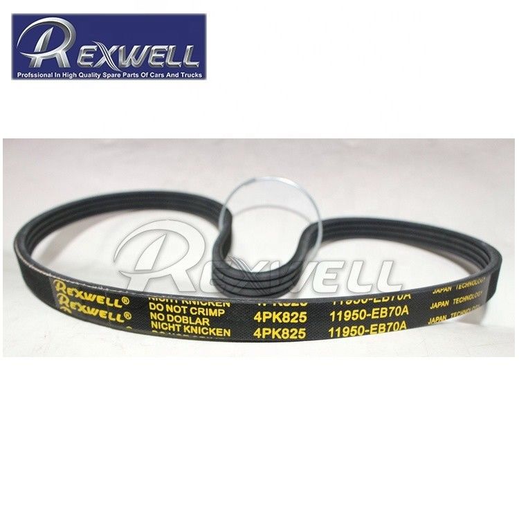 Nissan NAVARA D40 YD25DDTI Engine Power Steering Pump Drive Belt 2006-2011 11950-EB70A